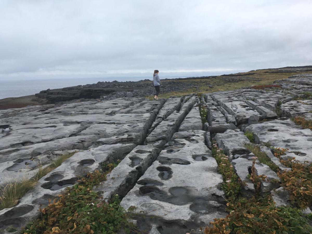 Atlantic Garden Lodge Lisdoonvarna Esterno foto