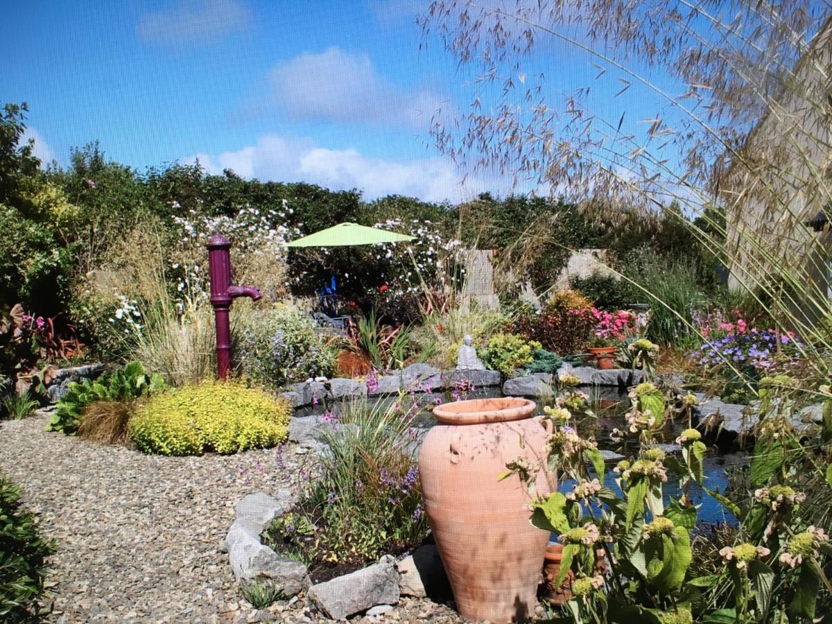 Atlantic Garden Lodge Lisdoonvarna Esterno foto